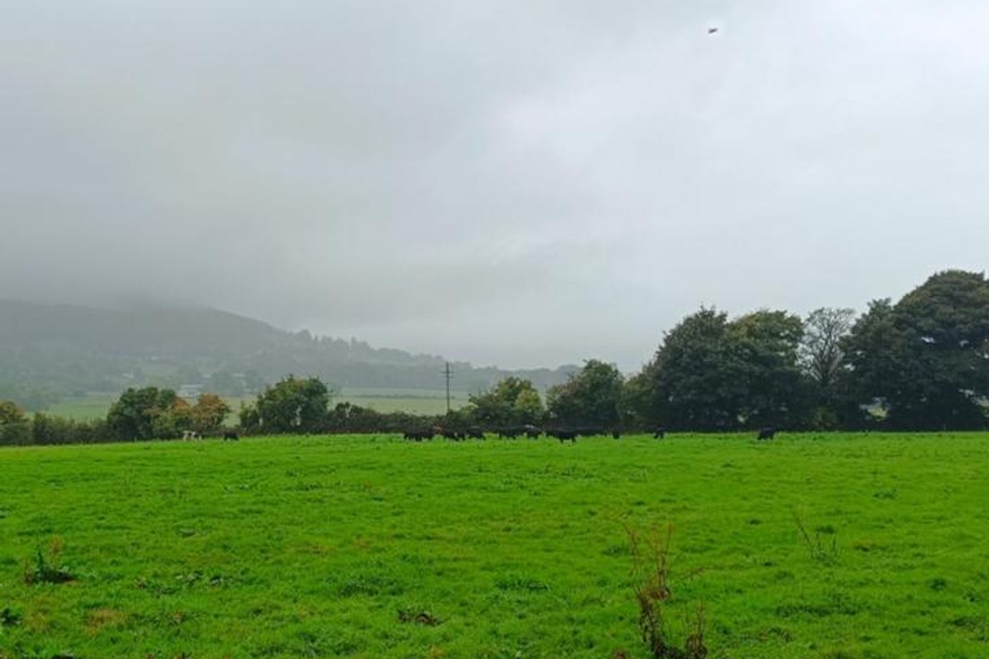 Ballinacourty, Kilfinane, Co. Limerick, V35TP62