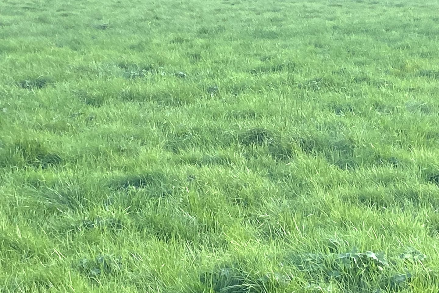 Lower Monard & Russelstown, Monard, Co. Tipperary, E34W657