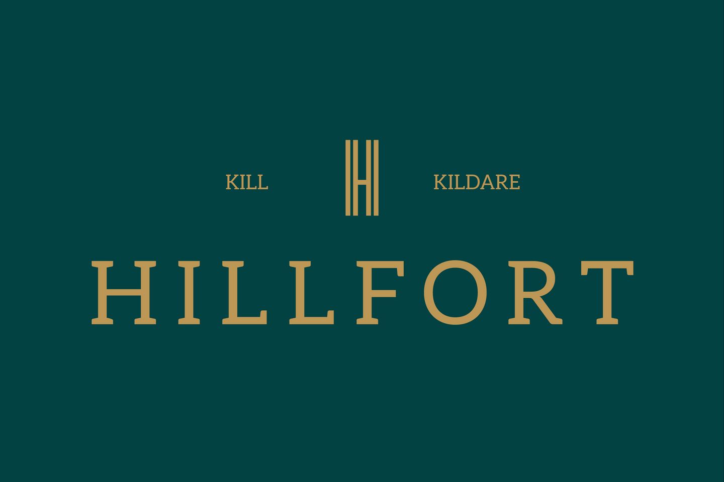 THE CEDAR, Hillfort, Hillfort, Kill, Co. Kildare