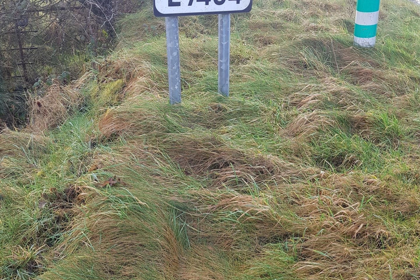 Commercial property for sale in garafine castleblakney, Ballinasloe, Co. Galway