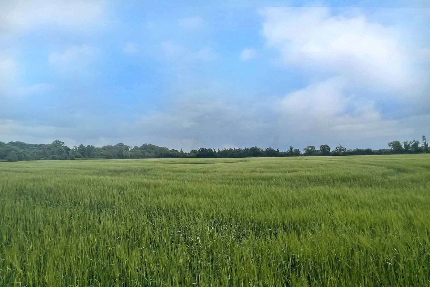 Painestown, Beauparc, Navan, Co. Meath