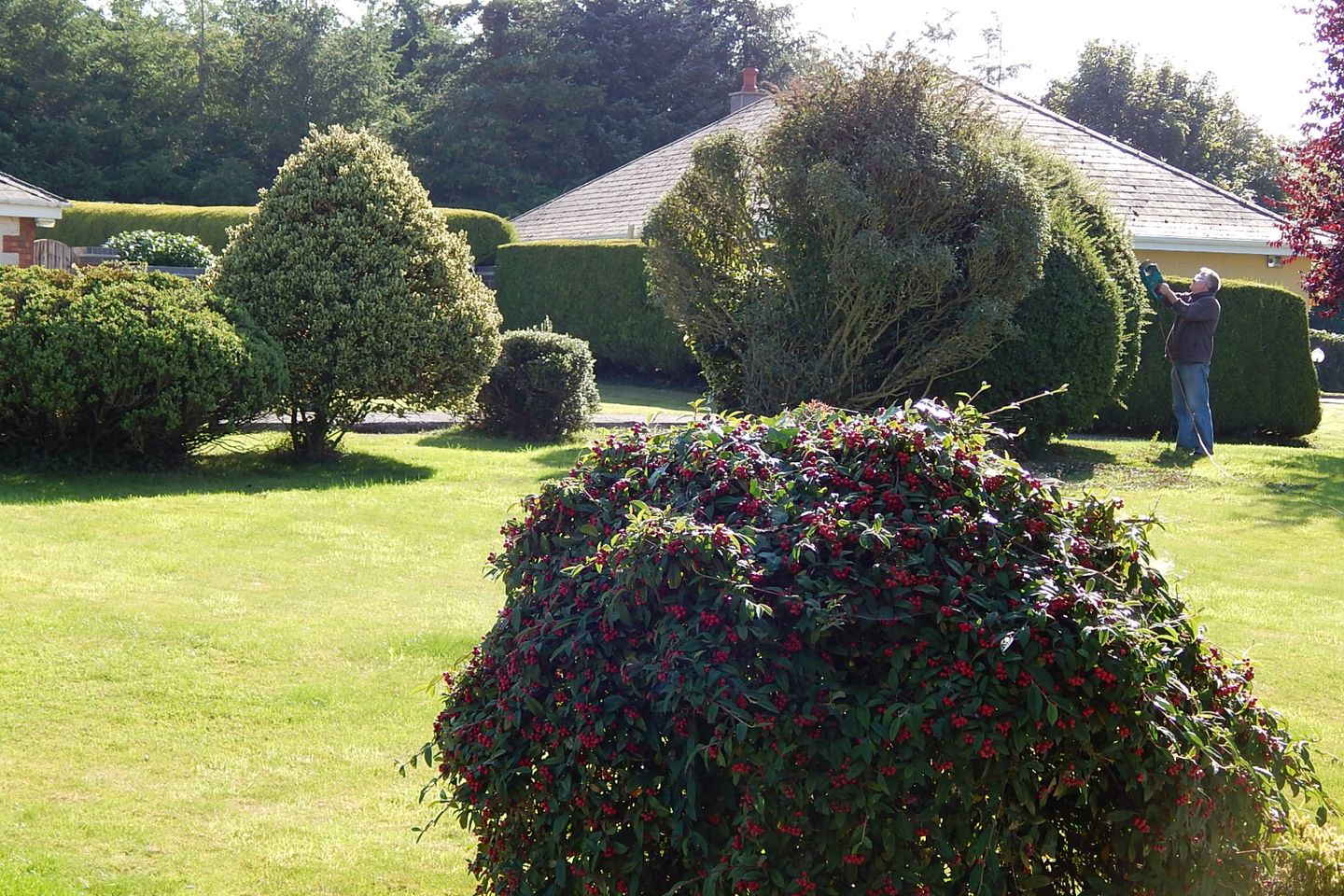 17 Ardagh Heights, Dublin Pike, Co. Cork