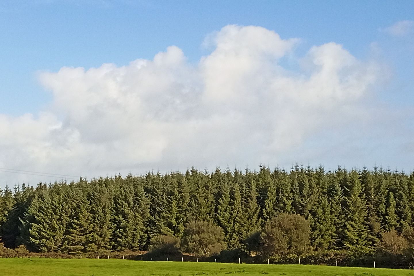 Knockerra, Cooraclare, Kilrush, Co. Clare, V15YY84