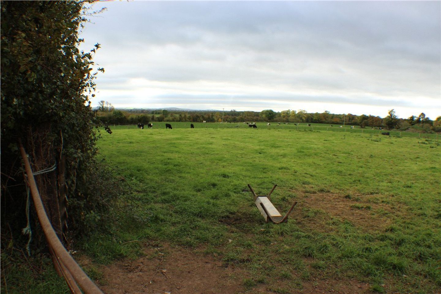 Laffina, Clonoulty, Cashel, Co Tipperary, E25X292 is for sale on Daft.ie