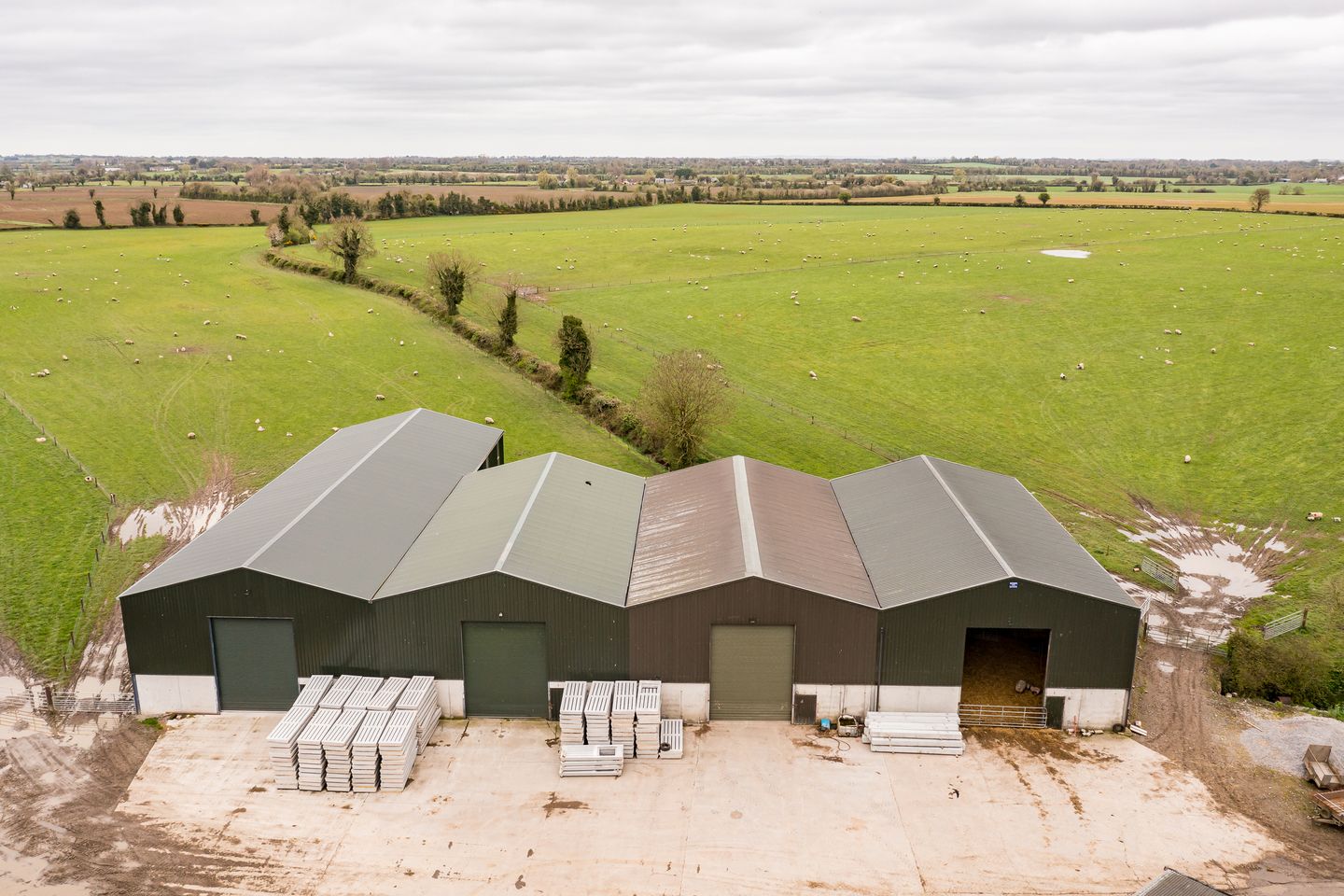 Commercial property for rent in Bellewstown, Trim, Co. Meath