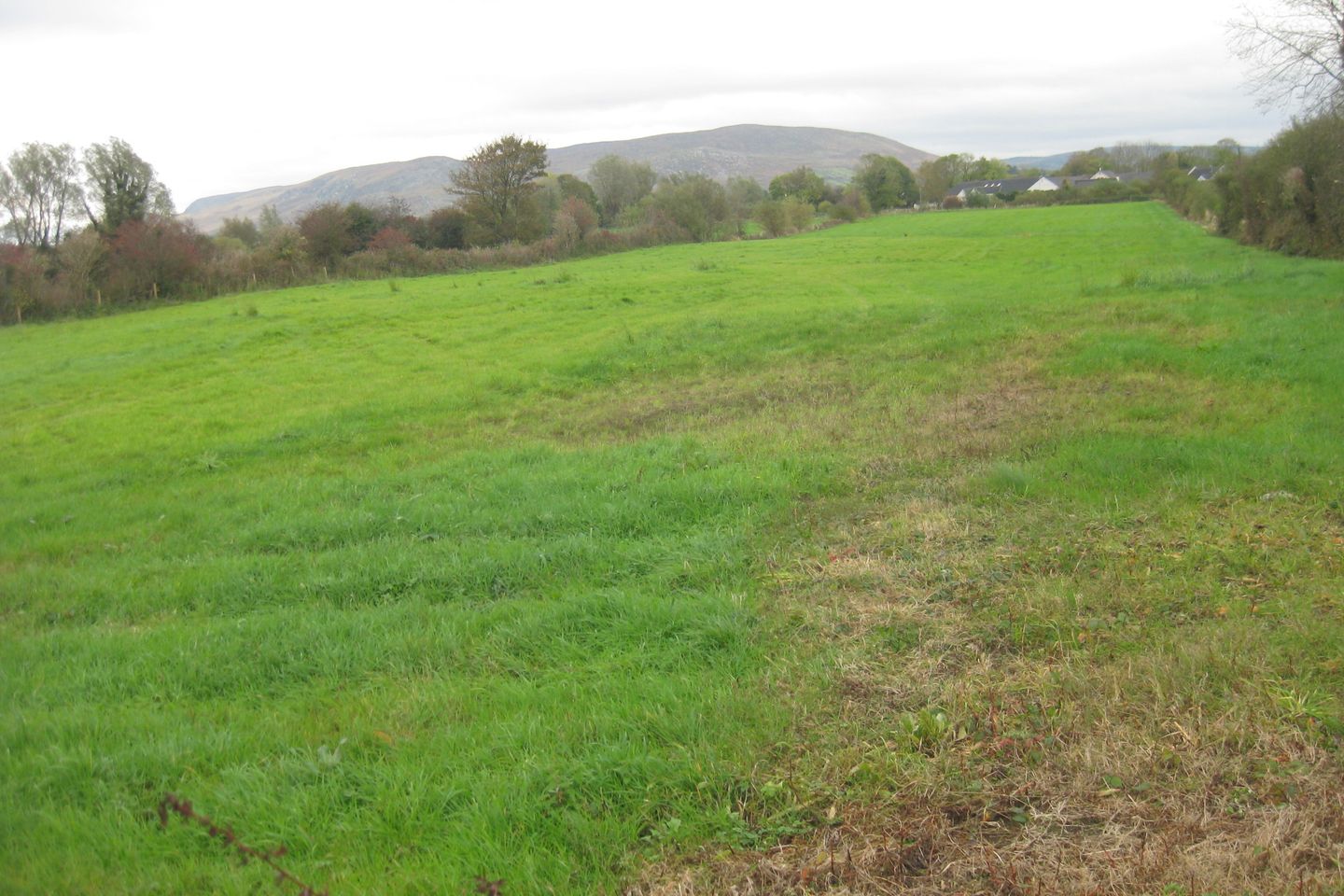 Ballina Road, Foxford, Co. Mayo