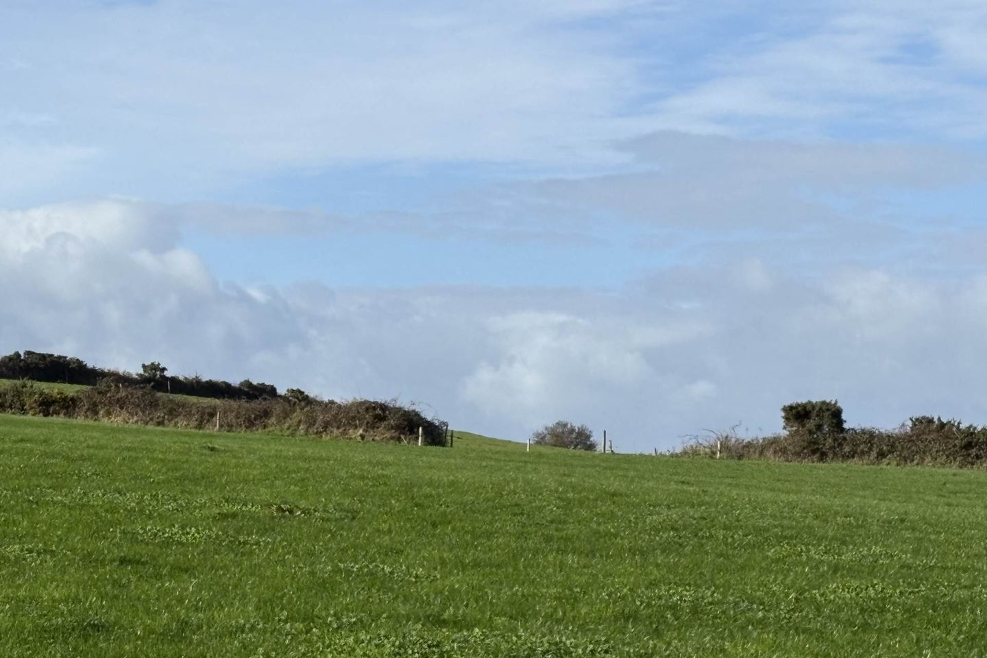 Knockanard, Fermoy, Co. Cork, P61DT29