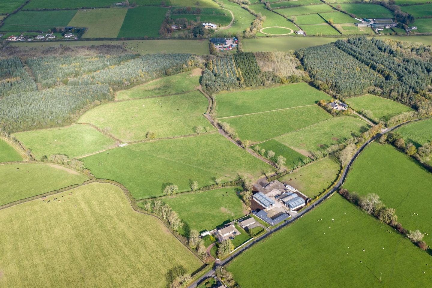 Spurree, Castlelyons, Co. Cork, P61F386