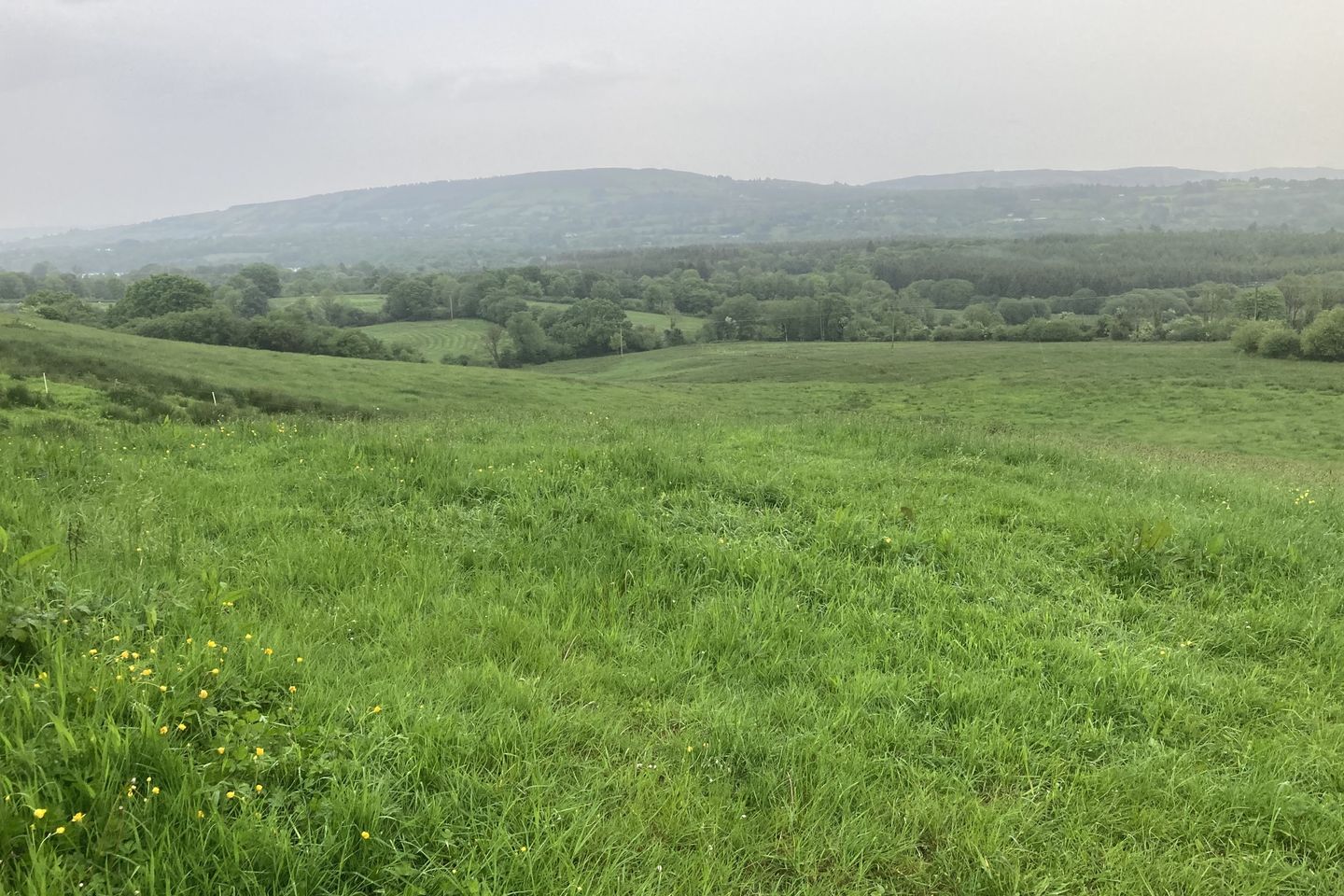 Gortalassa, Kilclaran, Feakle, Co. Clare is for sale on Daft.ie