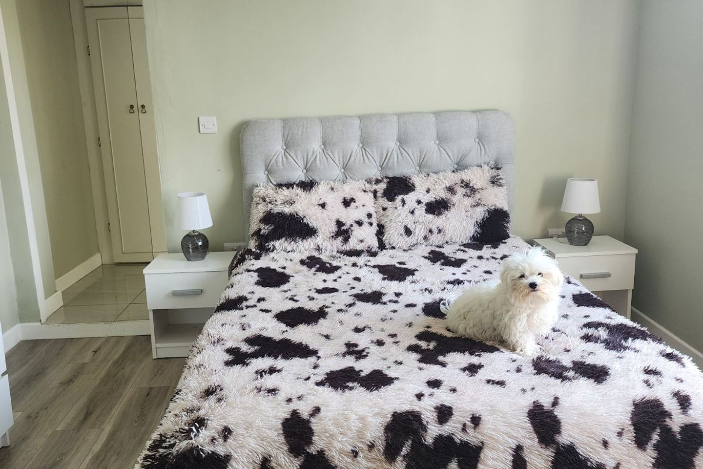 Lough Na Neine House, Castle Lane, Roscommon, Roscommon Town, Co. Roscommon