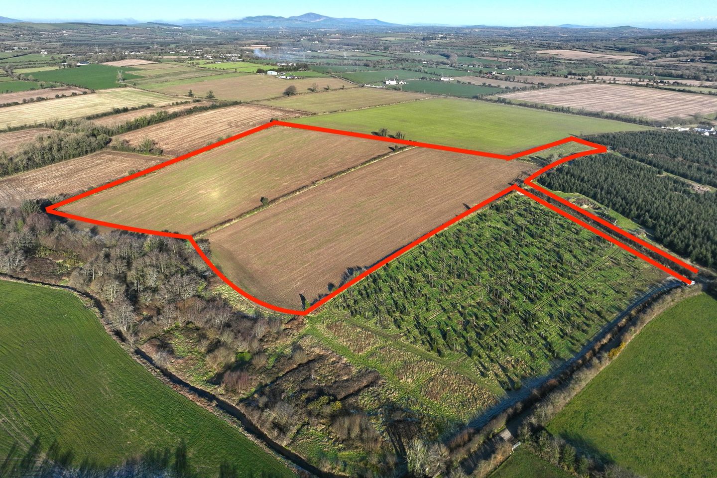 Commercial property for sale in Nash, Gusserane, Co. Wexford