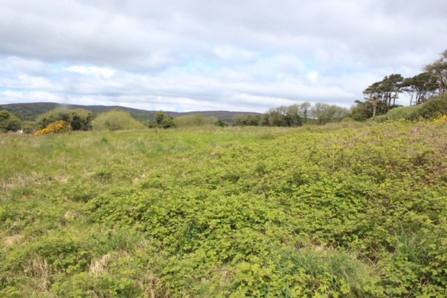 Commercial property for sale in Ardogeena, Durrus, Co. Cork