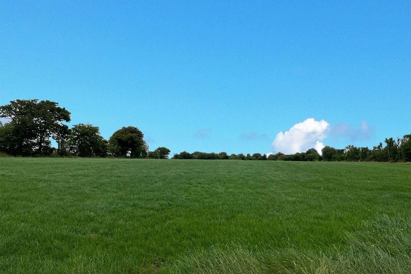 Commercial property for sale in Cloondergan, Garrafrauns, Dunmore, Co