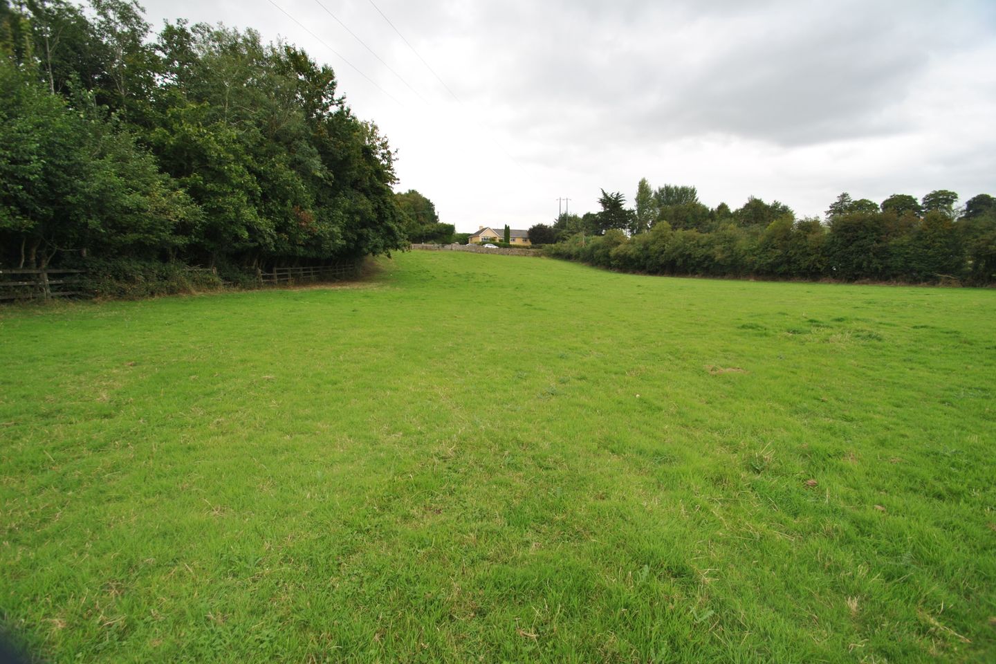 Approx. 5.93 Acres/2.39 Hectares, Corville, Roscrea, Co Tipperary