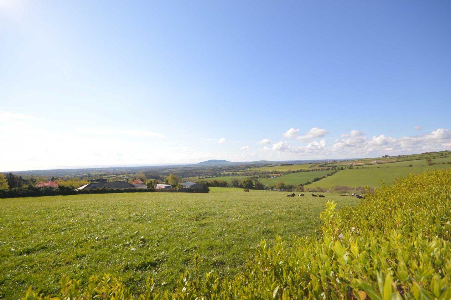 Site `A` Moneyribbon, Coolgreany, Co. Wexford