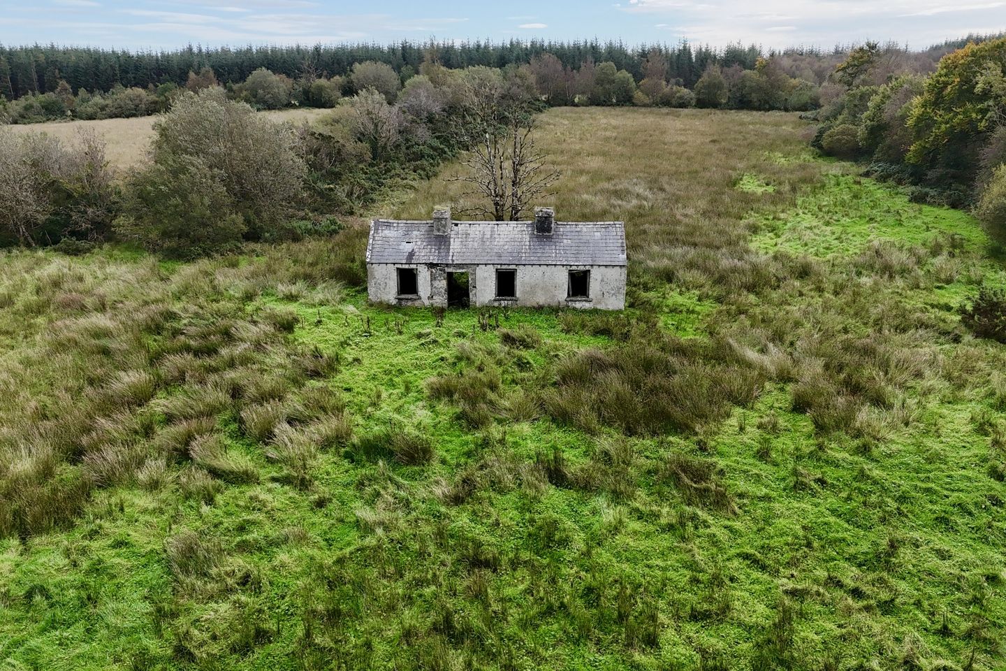 39.41 acres at Kilcoosh, Newbridge, Co. Galway