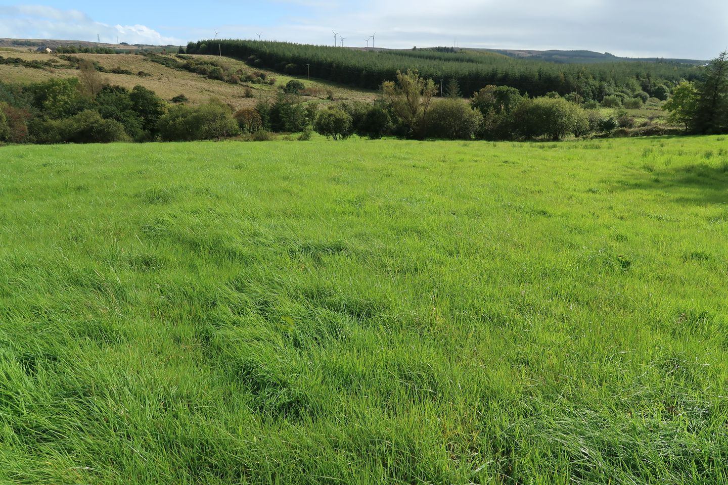 Commercial property for sale in Aughalusky, Ara, Balla, Castlebar, Co. Mayo