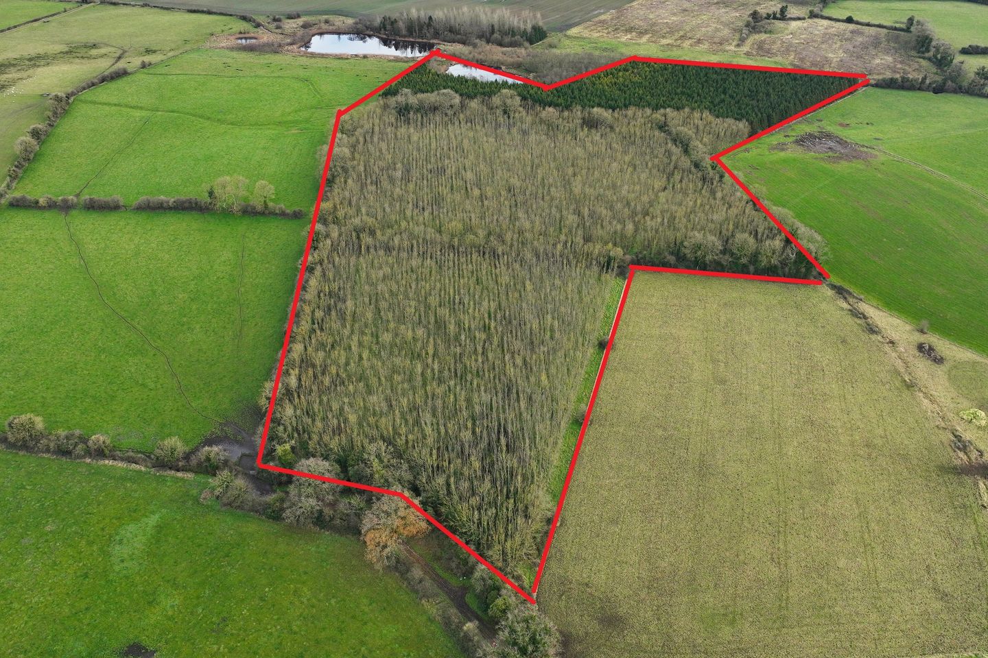 Ballinlough, Delvin, Co. Westmeath