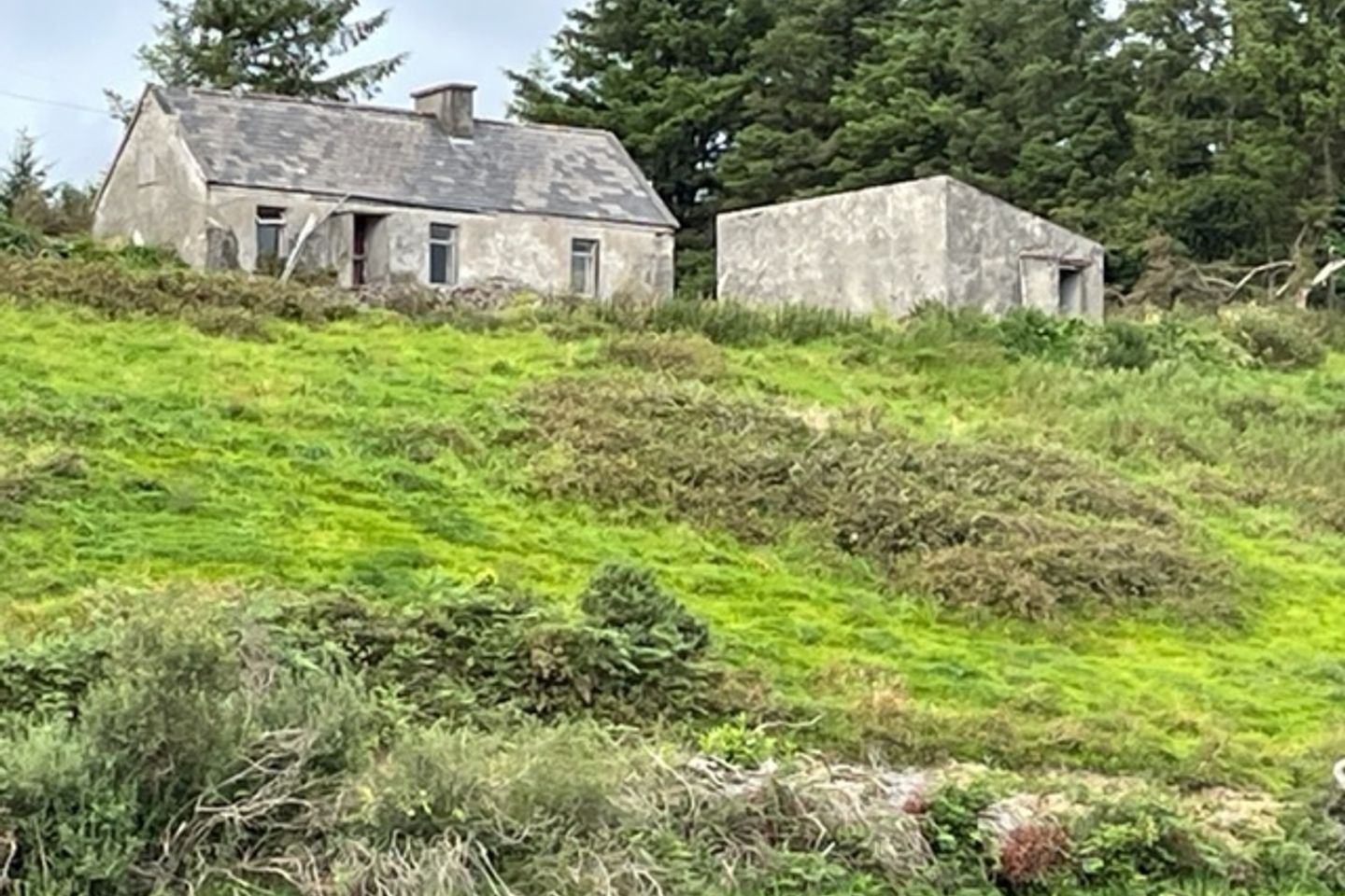 Cloonlaheen Middle, Mullagh, Co. Clare is for sale on Daft.ie