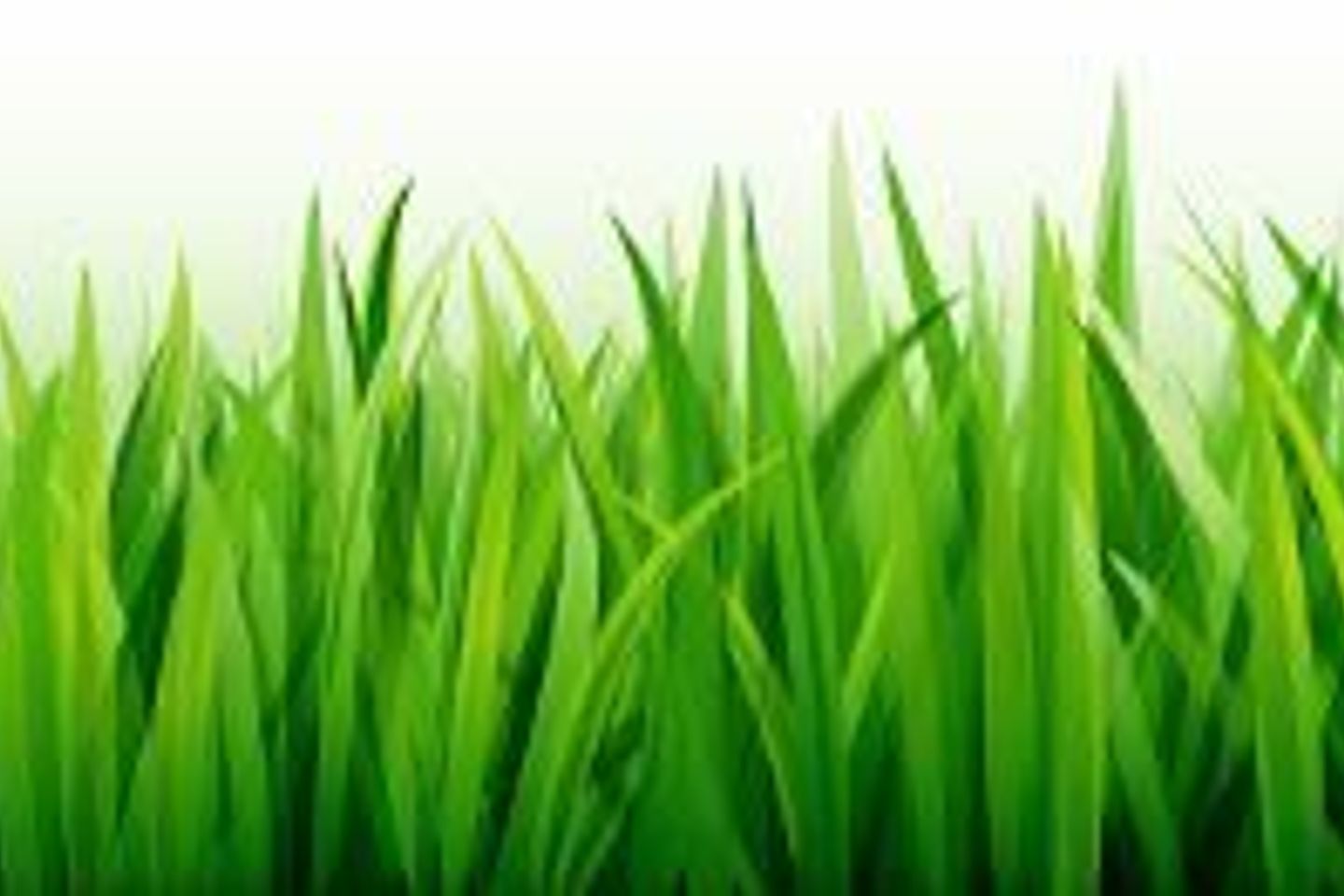 Drombeg, Rathcool, Co. Cork