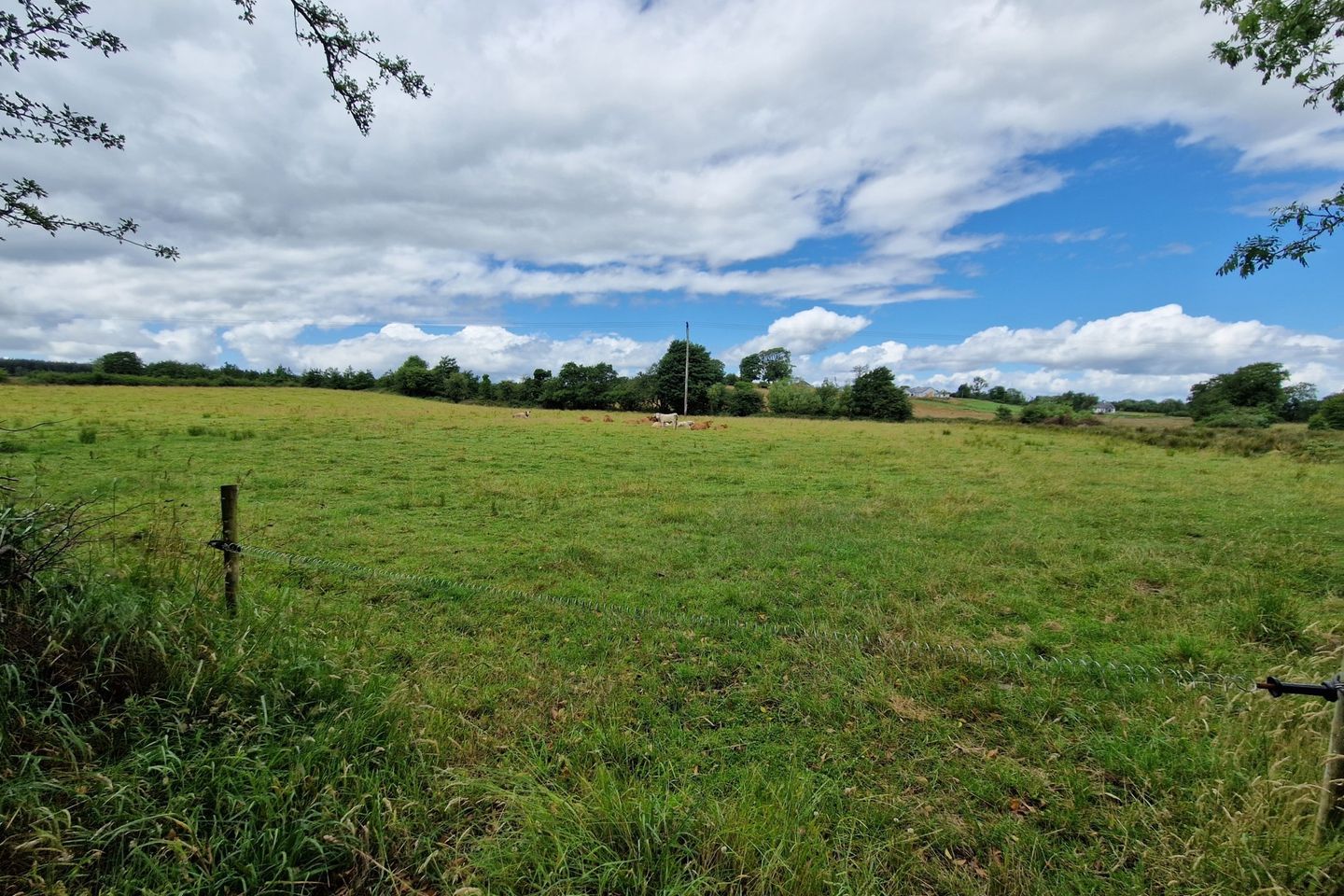 Commercial property for sale in Listrisnan, Bohola, Co. Mayo