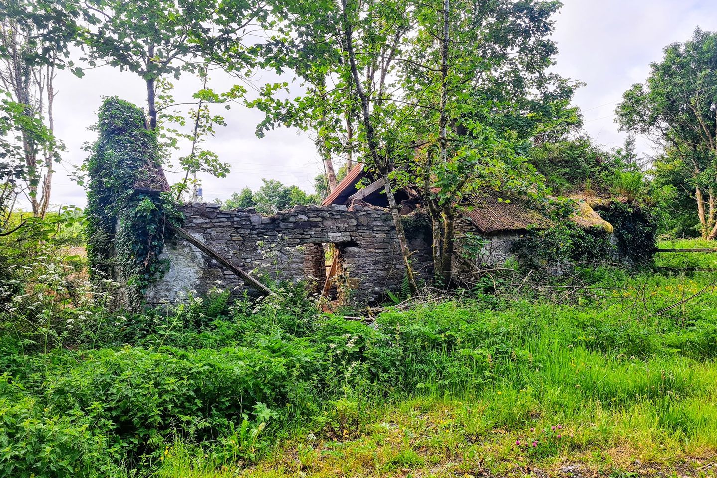 Copplecurragh, Charlestown, Co. Mayo