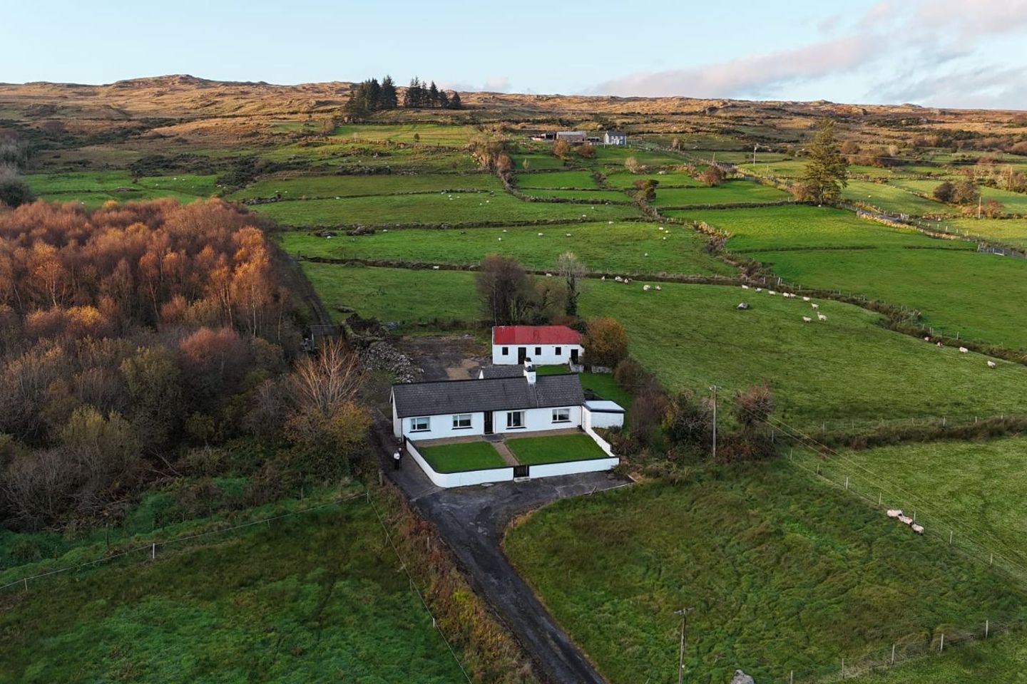 Carrownaleck, Lavagh, Ballymote, Co. Sligo, F56AN83