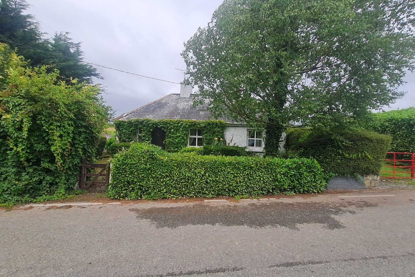 Derry, Rathcabbin, Co. Tipperary, R42K792