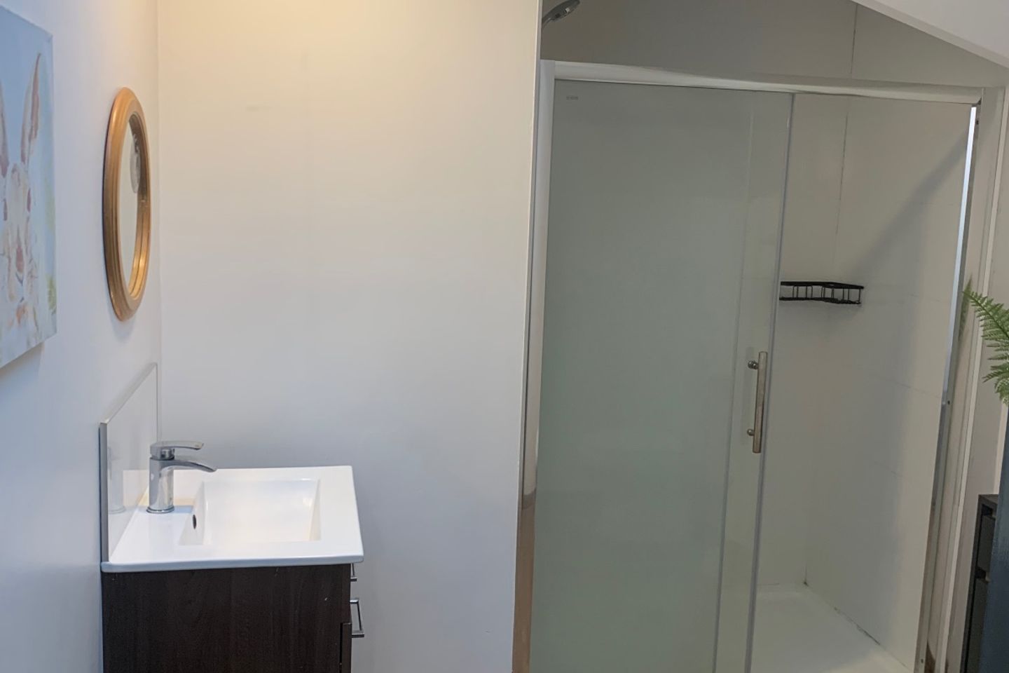 Lucerne, Newtown Donore, Caragh, Naas, Carragh, Co. Kildare