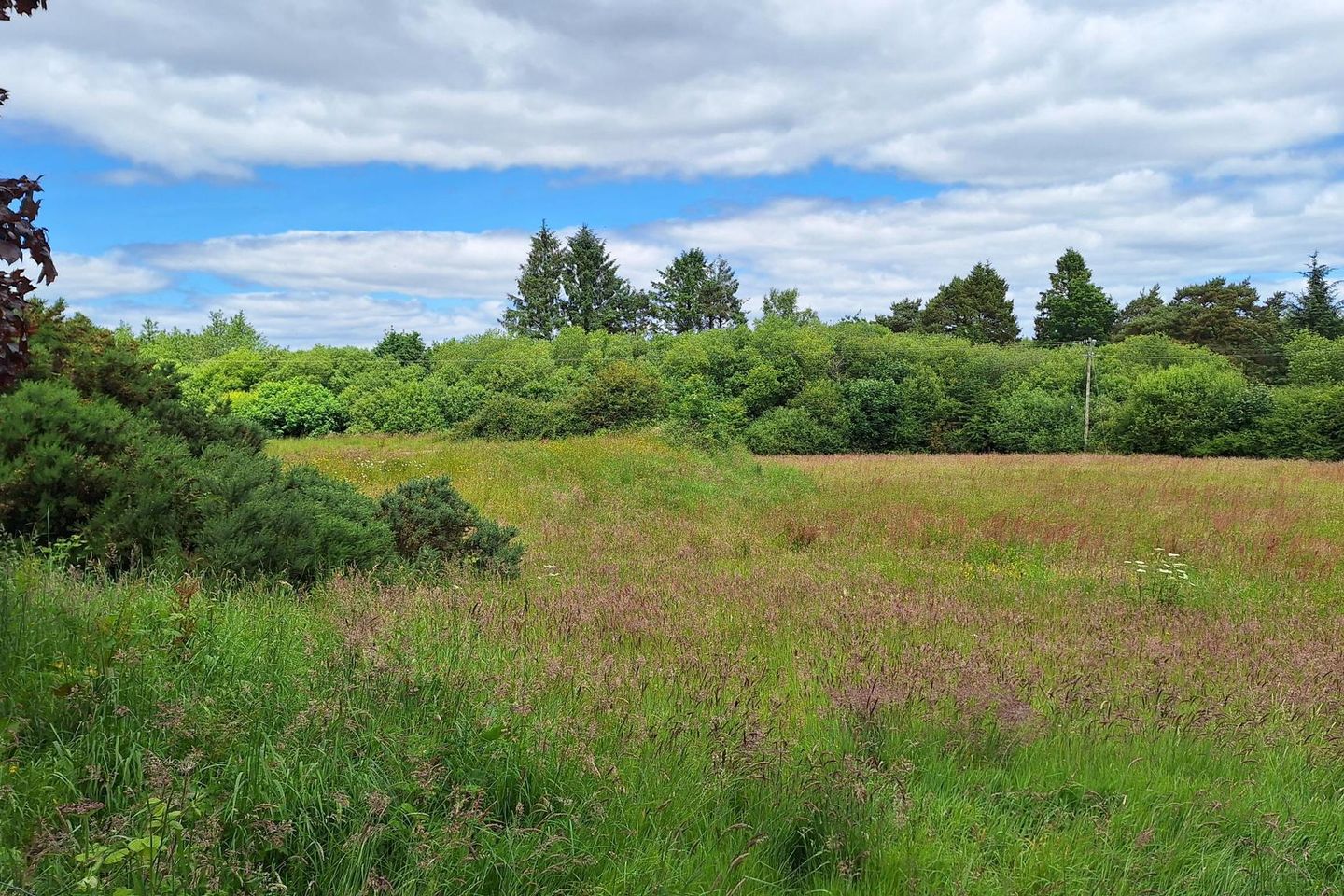 Land at Bridgestown, Inniscarra, Inniscarra, Co. Cork is for sale on