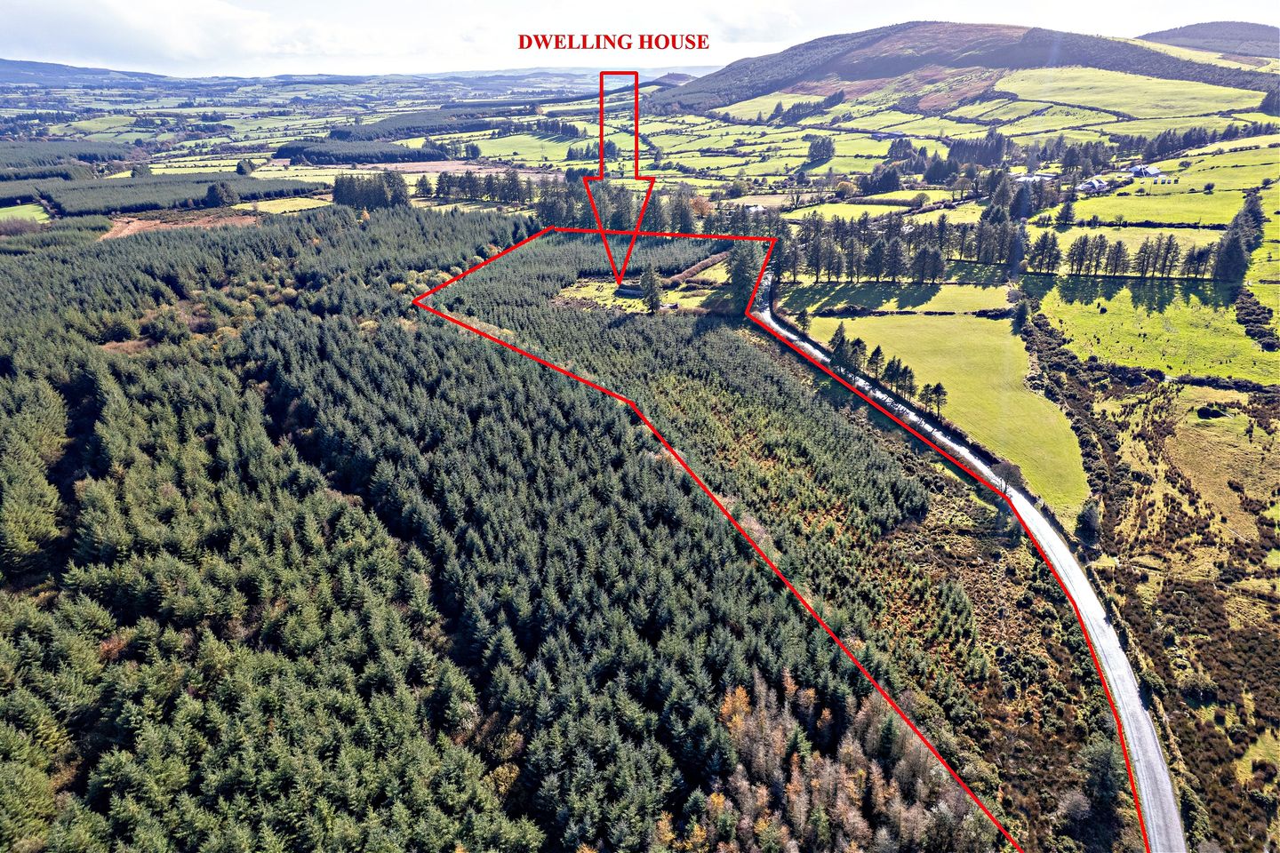 Boolahallagh, Newcastle, Co. Tipperary