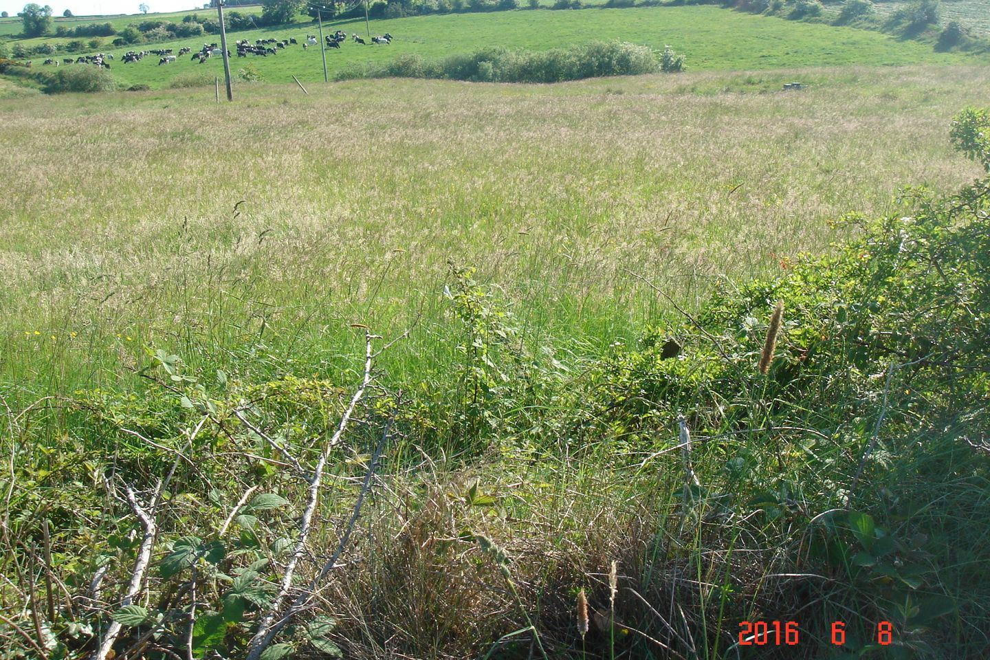 Ballinla, Freemount, Co. Cork is for sale on Daft.ie