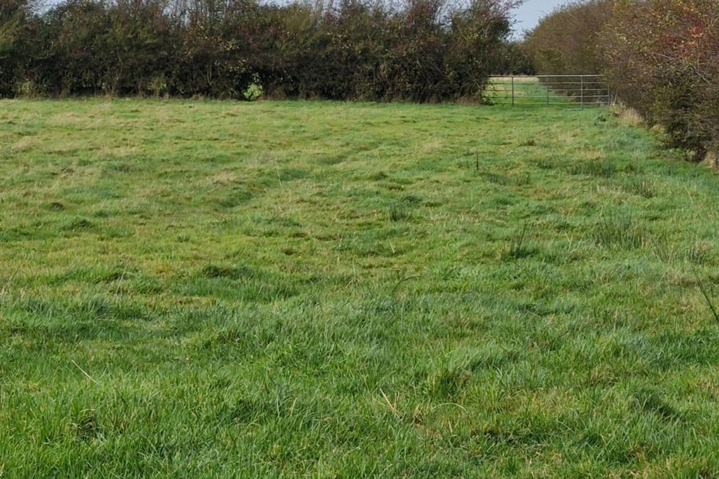 Lenafin, Ahascragh, Ballinasloe, Kilconnel, Co. Galway, H53PN12