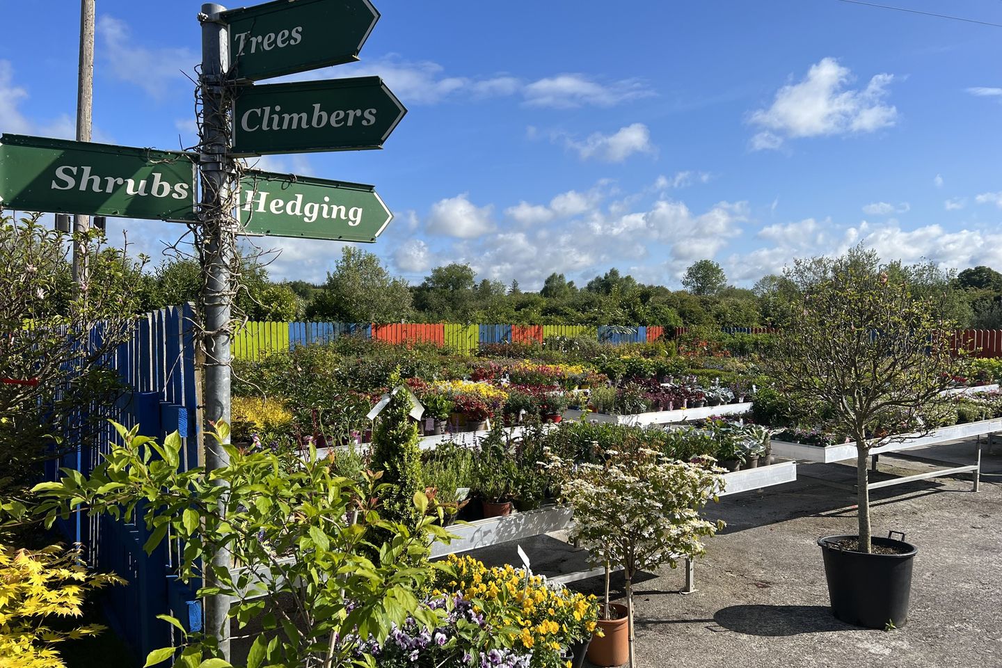 Commercial property for sale in Woodford Garden Centre, Woodford, Co
