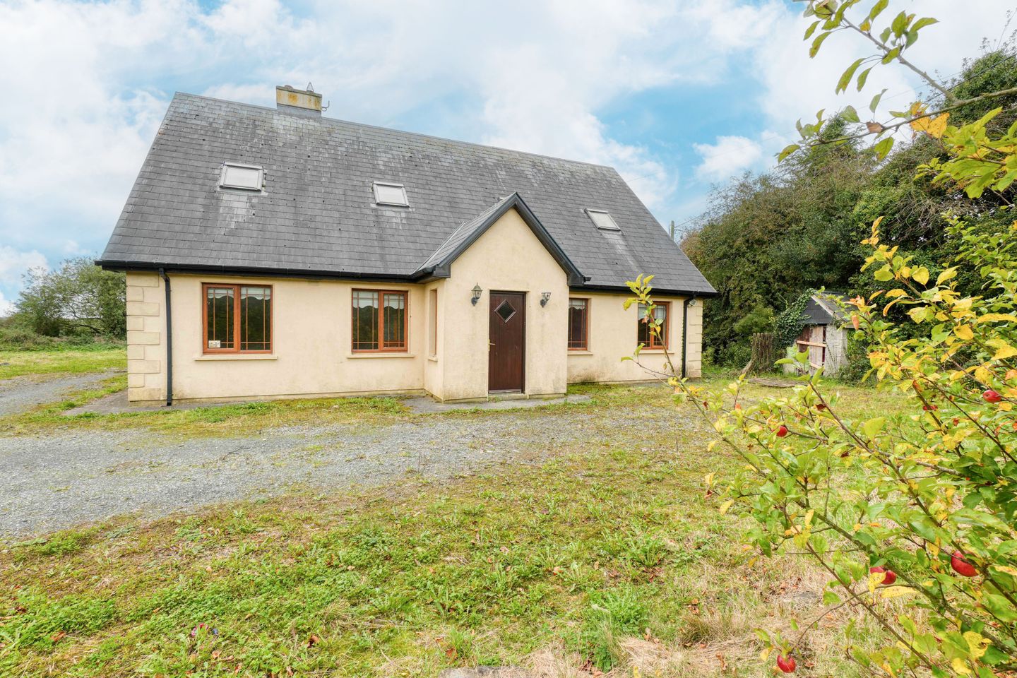 Derrylusk, Mountrath, Co. Laois, R32P8H4