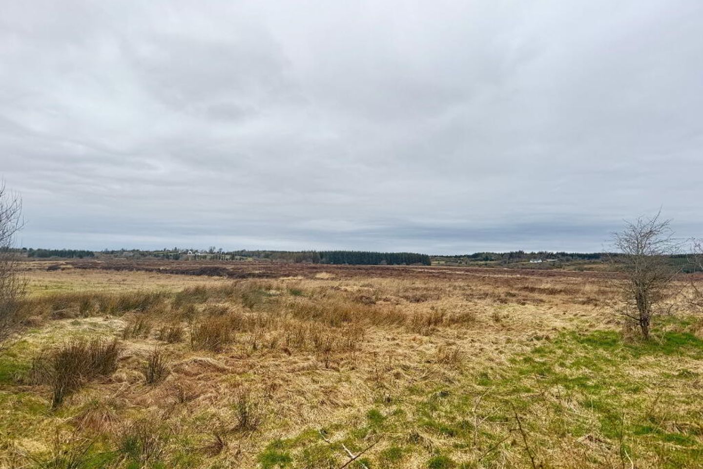 177 Acres Castlerea, Co. Roscommon