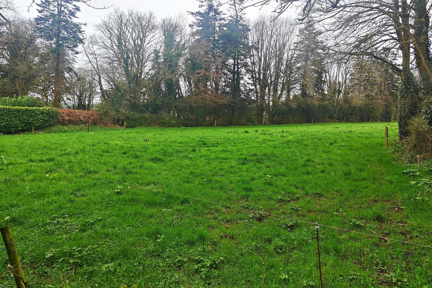 Land, Villierstown, Co. Waterford is for sale on Daft.ie