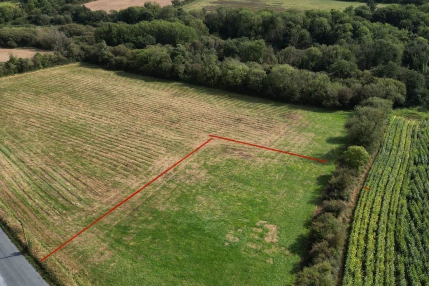 Ballymotey Beg, Monageer, Enniscorthy, Co. Wexford