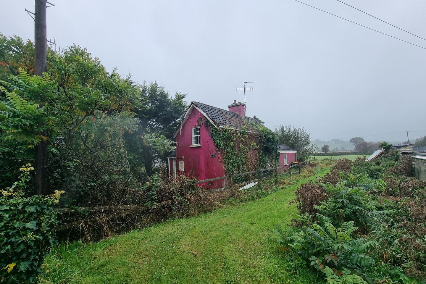 Madame, Ballinascarthy, Ballinascarty, Co. Cork, P85EC65