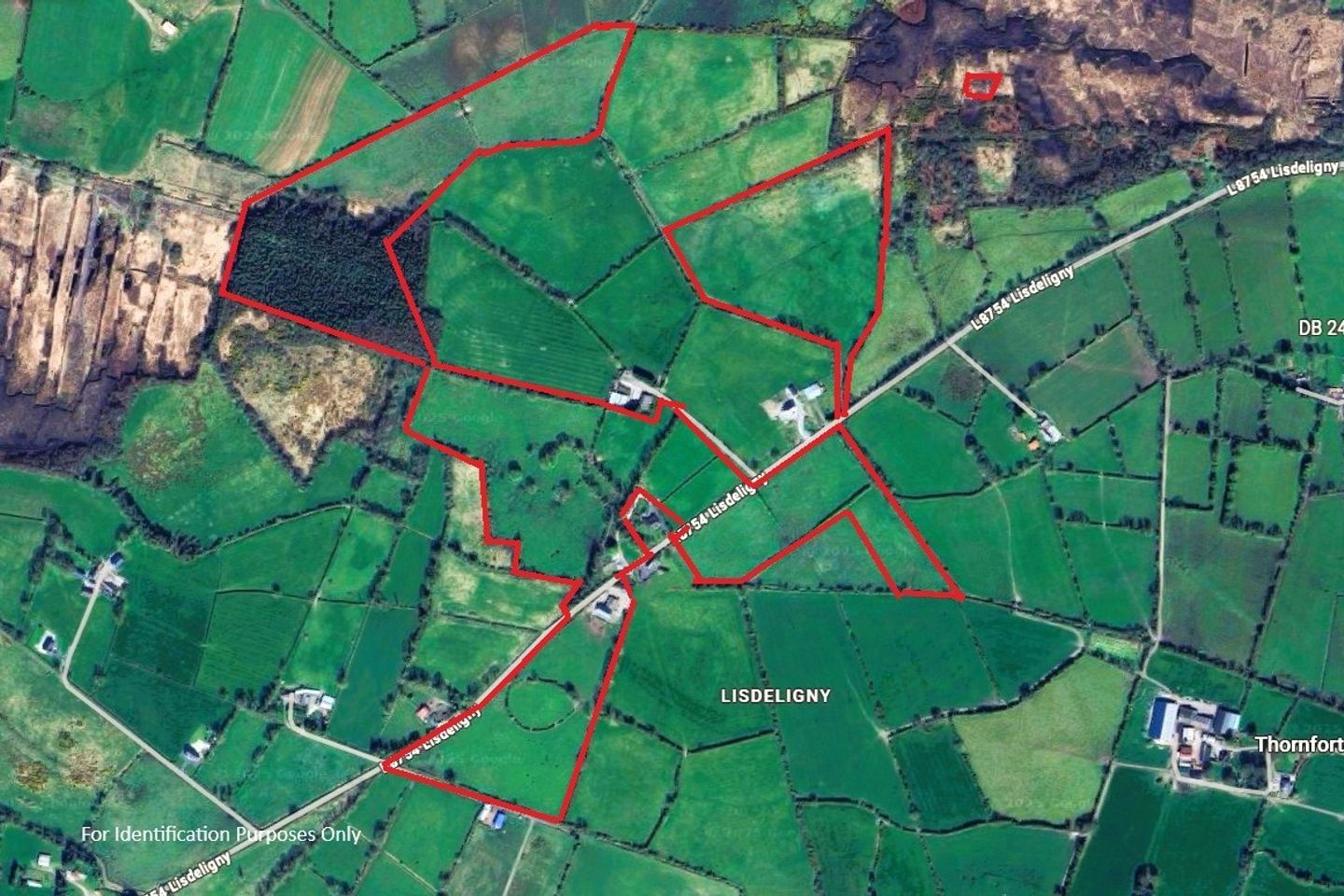 Lisdeligny, Killimor, Ballinasloe, Co. Galway