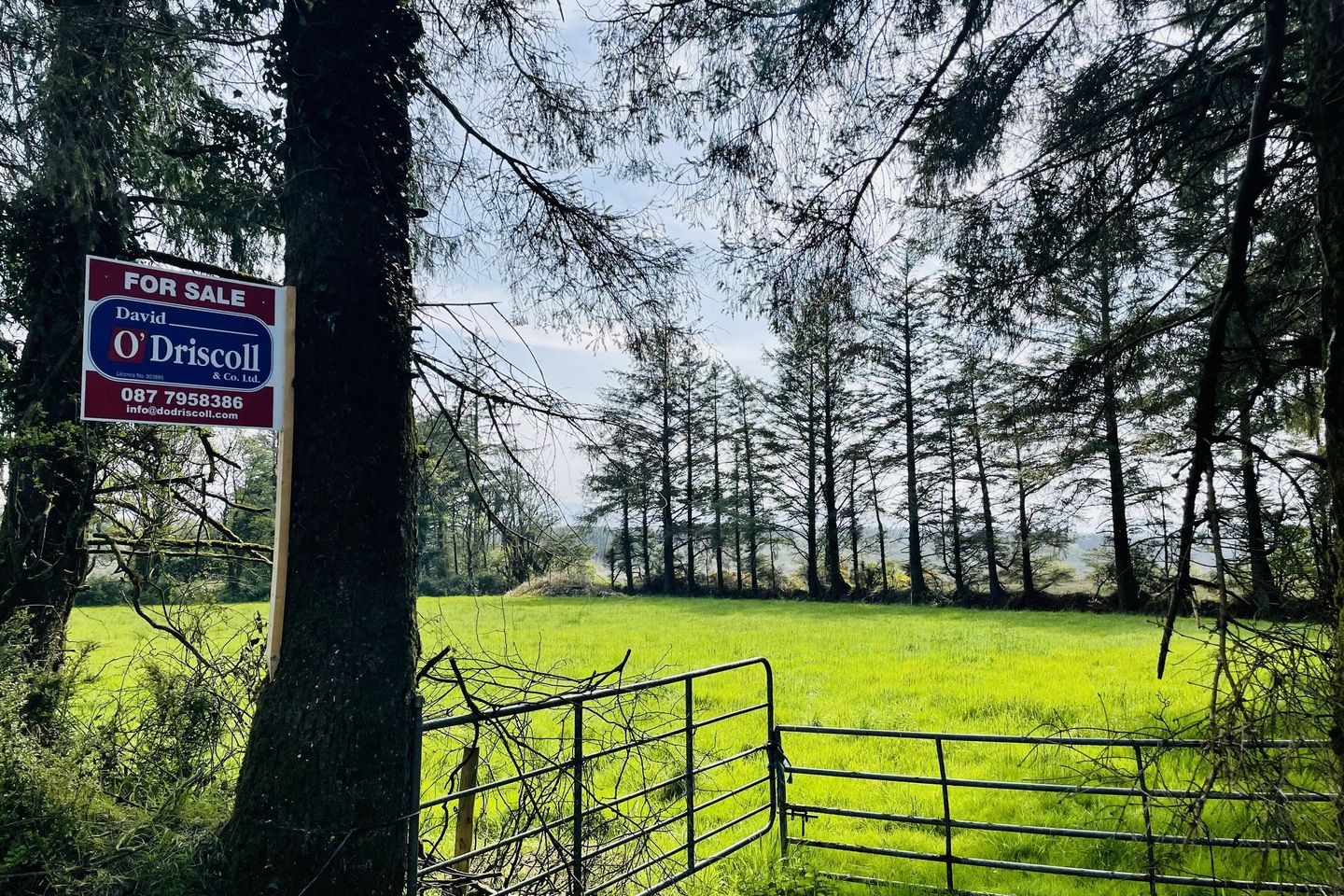 Tureenglanahee, Ballydesmond, Co. Cork is for sale on Daft.ie