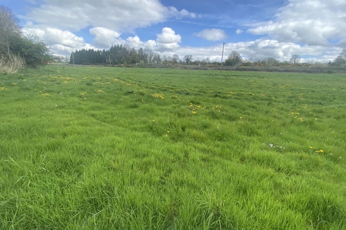 5.3 Acres Approx, Finnea, Co. Cavan