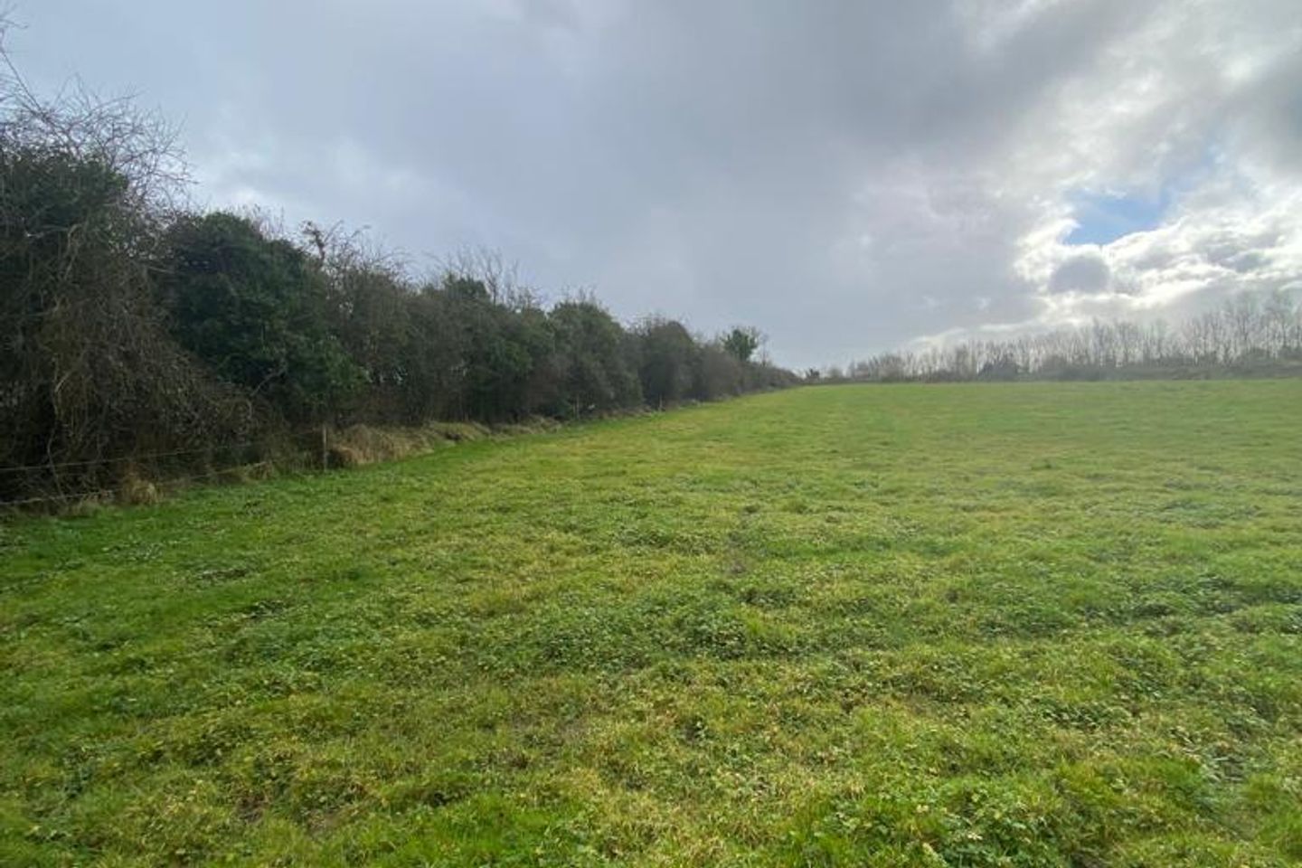 2.62 Acres, Berilstown