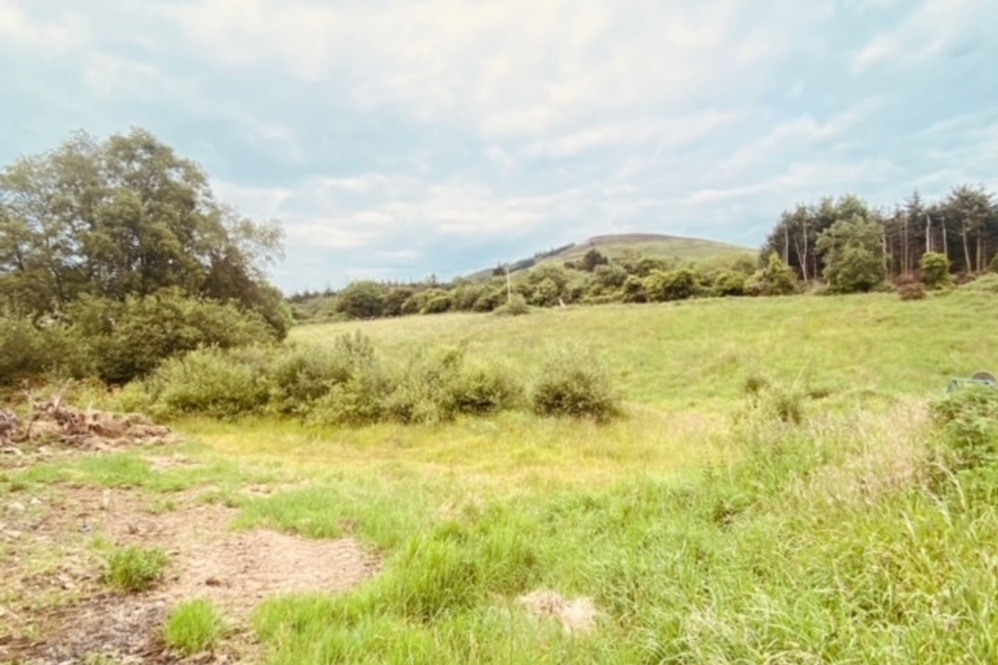 Blackgate, Ravensdale, Co. Louth is for sale on Daft.ie