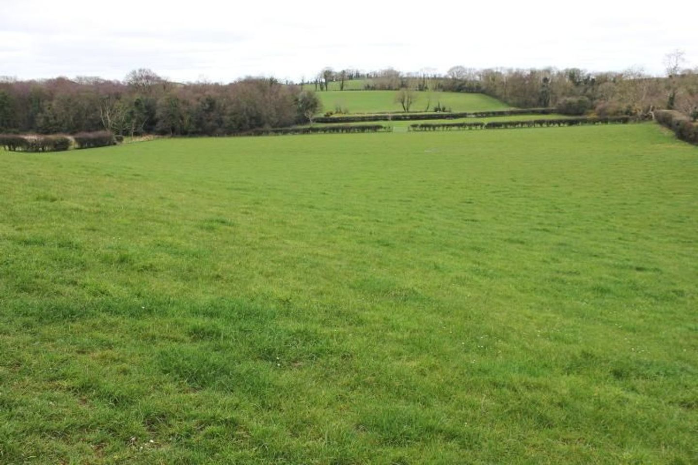 Castlewarden, Straffan, Naas, Kill, Co. Kildare, W23X033 is for sale on