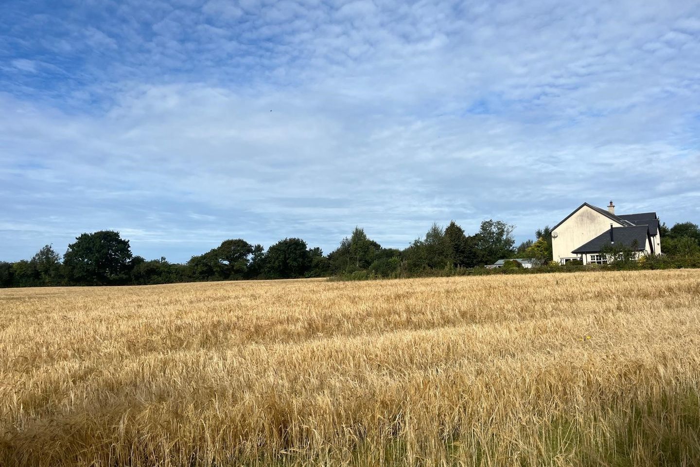 Ballyeden, Camolin, Co. Wexford