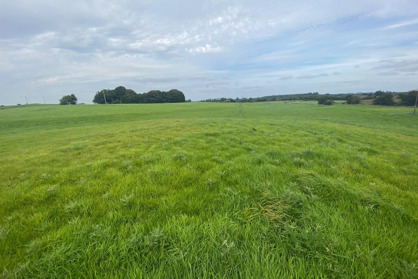 Martry, Elphin, Co. Roscommon