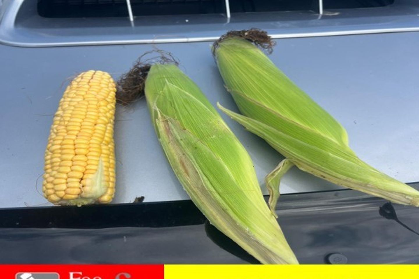 Carlingford Road, Kilcurry, Co. Louth