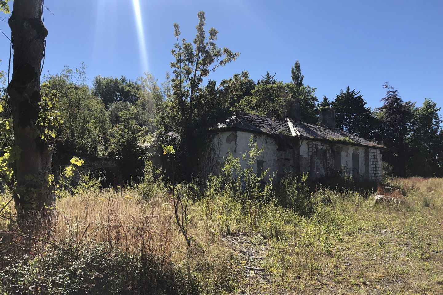 Ballyclough Avenue, Castletroy, Co. Limerick is for sale on Daft.ie