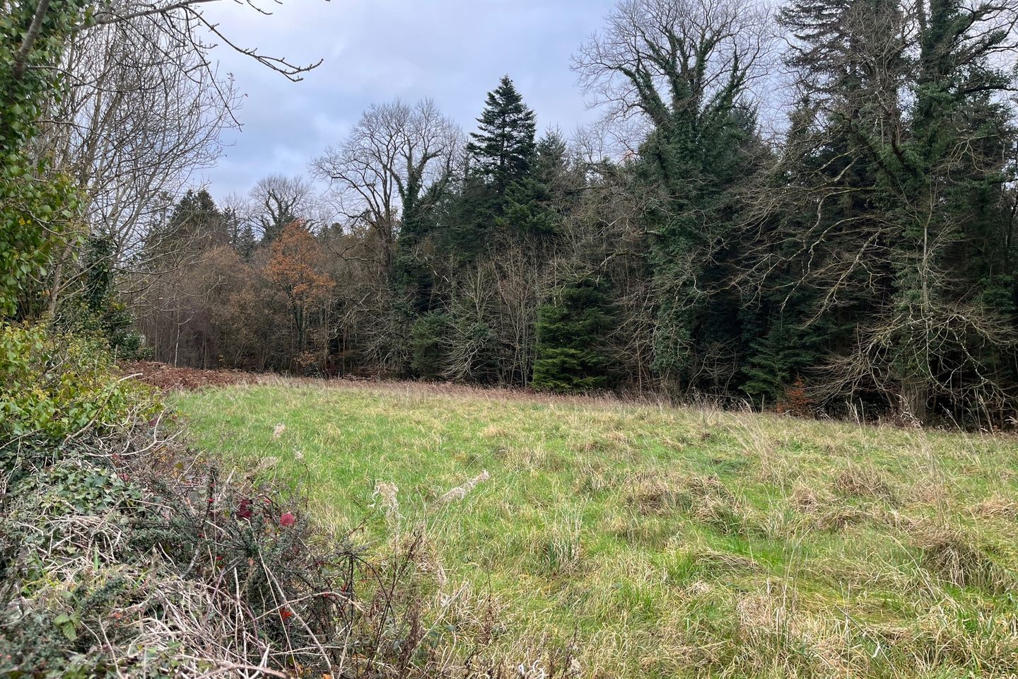 Commercial property for sale in Killamuck, Abbeyleix, Co. Laois